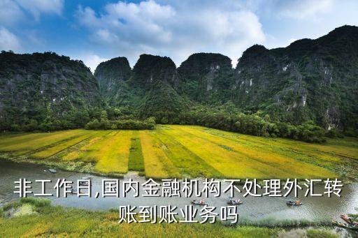 非工作日,國內金融機構不處理外匯轉賬到賬業(yè)務嗎
