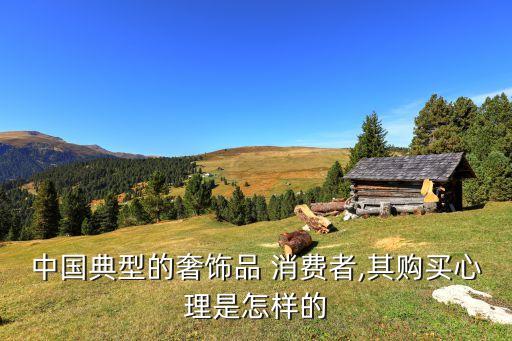 中國典型的奢飾品 消費(fèi)者,其購買心理是怎樣的