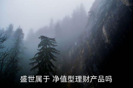 盛世屬于 凈值型理財產品嗎
