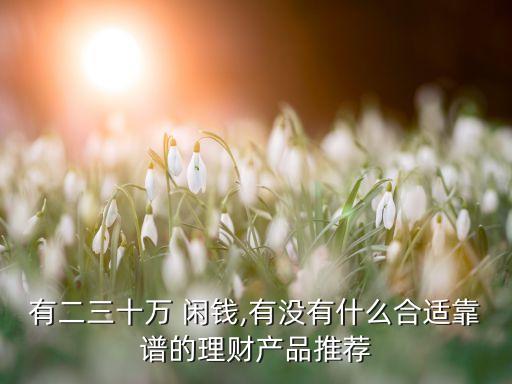 有二三十萬(wàn) 閑錢(qián),有沒(méi)有什么合適靠譜的理財(cái)產(chǎn)品推薦