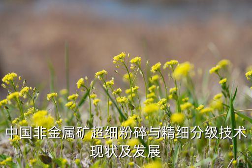 中國非金屬礦超細粉碎與精細分級技術現(xiàn)狀及發(fā)展