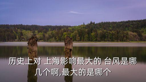 上海?？_(tái)風(fēng),2012年臺(tái)風(fēng)?？?/></a></span><span id=