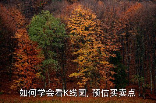 如何學會看K線圖, 預(yù)估買賣點