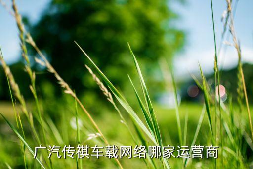 國內車聯(lián)網(wǎng)公司,上海車聯(lián)網(wǎng)公司