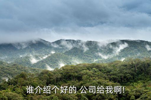 誰(shuí)介紹個(gè)好的 公司給我啊!
