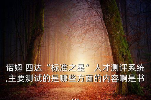 諾姆 四達“標(biāo)準之星”人才測評系統(tǒng),主要測試的是哪些方面的內(nèi)容啊是書...