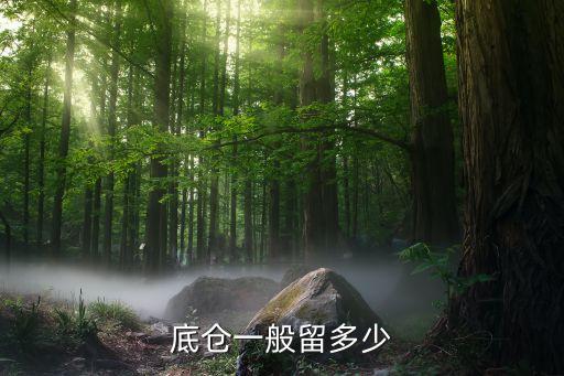 股票倉(cāng)位應(yīng)該是多少,股票一成倉(cāng)位是多少