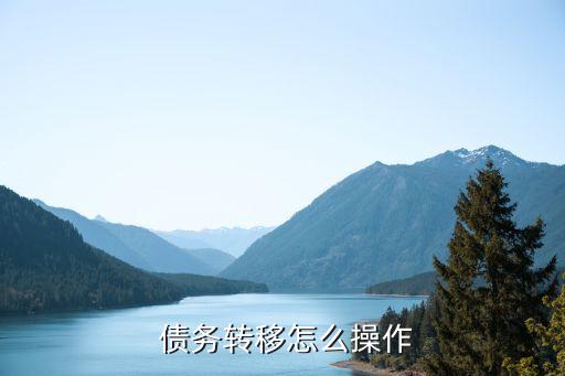  債務轉移怎么操作