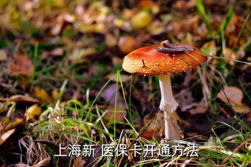  上海新 醫(yī)?？ㄩ_通方法
