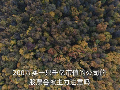  200萬(wàn)買一只千億市值的公司的 股票會(huì)被主力注意嗎
