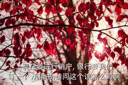 ...現(xiàn)在要進(jìn)行銷戶, 銀行要我們寫一個 承諾書,請問這個該怎么寫啊