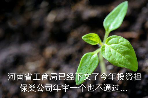  河南省工商局已經(jīng)下文了今年投資擔保類公司年審一個也不通過...