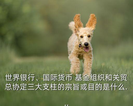 世界銀行、國際貨幣 基金組織和關(guān)貿(mào)總協(xié)定三大支柱的宗旨或目的是什么...