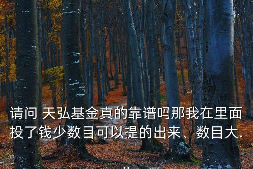 請問 天弘基金真的靠譜嗎那我在里面投了錢少數(shù)目可以提的出來、數(shù)目大...