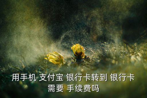 用手機 支付寶 銀行卡轉到 銀行卡需要 手續(xù)費嗎