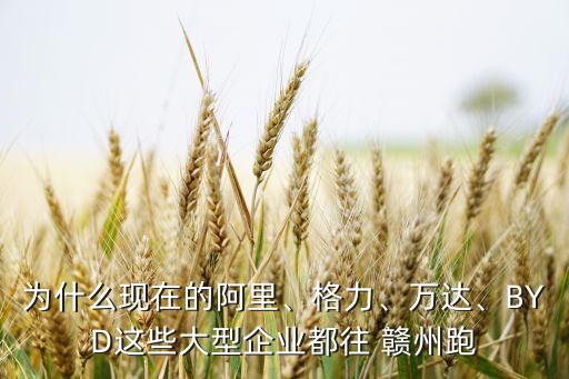 為什么現(xiàn)在的阿里、格力、萬達(dá)、BYD這些大型企業(yè)都往 贛州跑