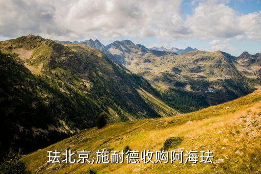 阿?，m北京,施耐德收購阿?，m