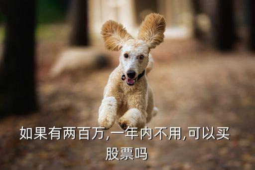 如果有兩百萬(wàn),一年內(nèi)不用,可以買 股票嗎