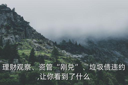 理財(cái)觀察、資管“剛兌”、垃圾債違約,讓你看到了什么