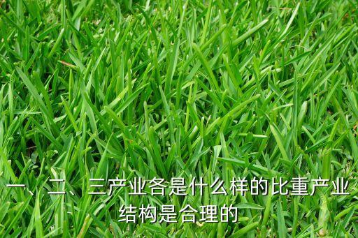 一、二、三產(chǎn)業(yè)各是什么樣的比重產(chǎn)業(yè)結(jié)構(gòu)是合理的