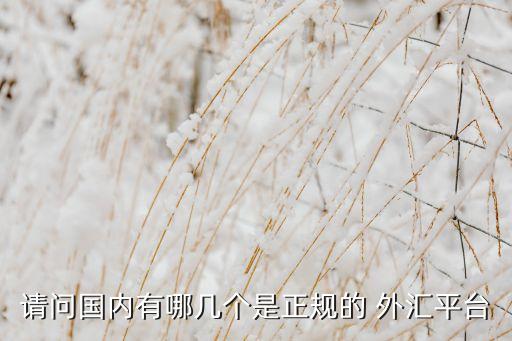 請問國內有哪幾個是正規(guī)的 外匯平臺