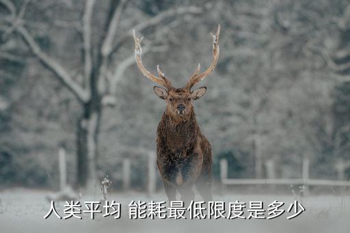 人類(lèi)平均 能耗最低限度是多少