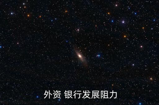 2013年外資銀行在中國的市場(chǎng)份額
