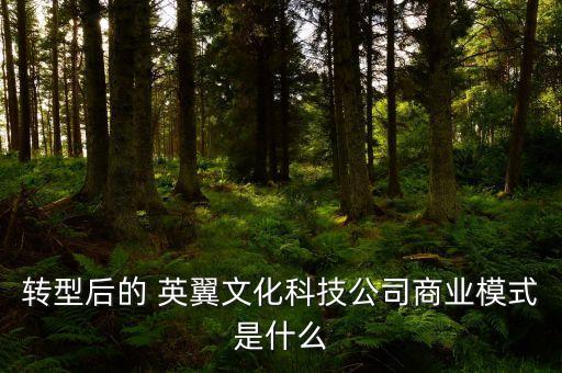 上海英翼傳媒,上?？埔韨髅皆趺礃庸緢D片