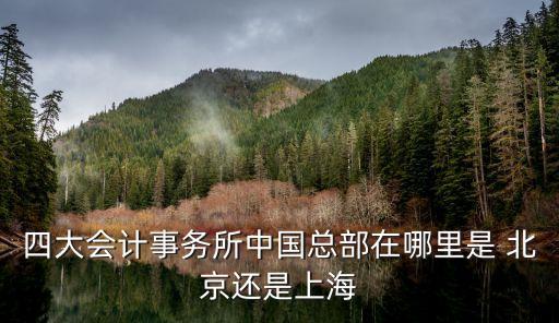 四大會計(jì)事務(wù)所中國總部在哪里是 北京還是上海