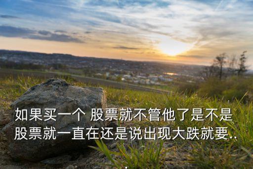 如果買(mǎi)一個(gè) 股票就不管他了是不是 股票就一直在還是說(shuō)出現(xiàn)大跌就要...