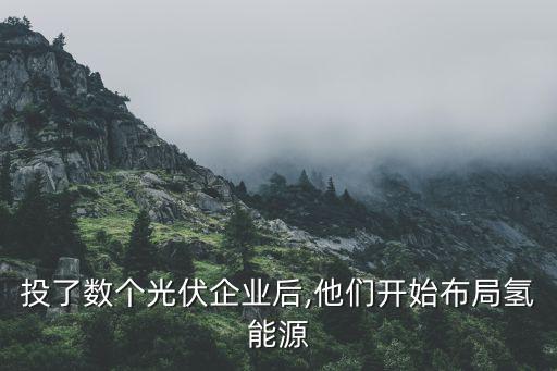 投了數(shù)個(gè)光伏企業(yè)后,他們開(kāi)始布局氫能源