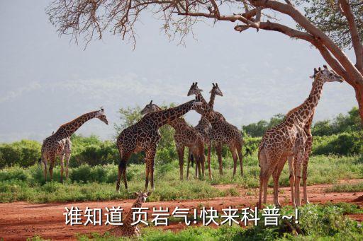 頁巖氣發(fā)展對(duì)中國(guó)丙烯原料供應(yīng)的影響