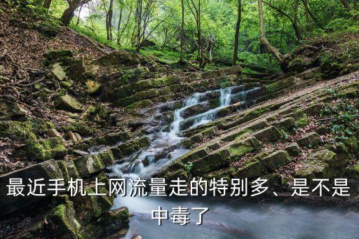 最近手機(jī)上網(wǎng)流量走的特別多、是不是中毒了