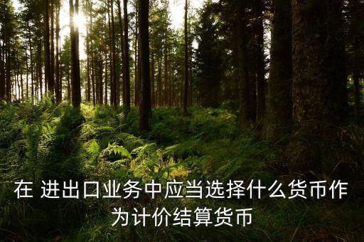 在 進(jìn)出口業(yè)務(wù)中應(yīng)當(dāng)選擇什么貨幣作為計(jì)價結(jié)算貨幣