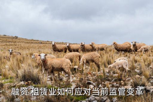  融資 租賃業(yè)如何應對當前監(jiān)管變革