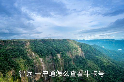 智遠(yuǎn) 一戶通怎么查看?？ㄌ?hào)