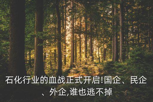 石化行業(yè)的血戰(zhàn)正式開啟!國企、民企、外企,誰也逃不掉