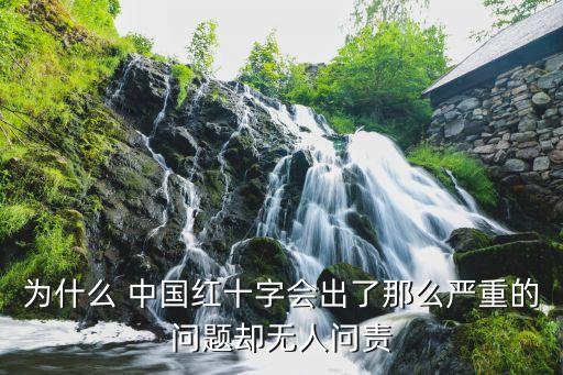 為什么 中國紅十字會出了那么嚴重的問題卻無人問責