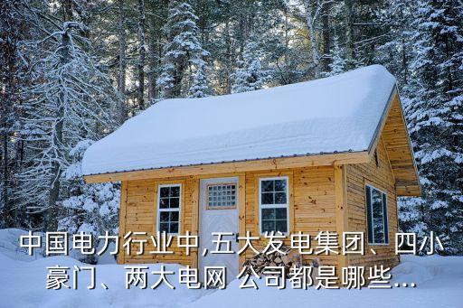 中國電力行業(yè)中,五大發(fā)電集團、四小豪門、兩大電網(wǎng) 公司都是哪些...