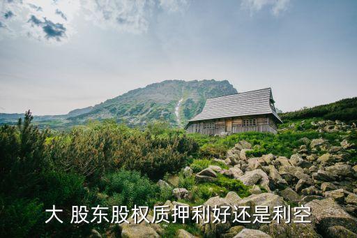 大 股東股權質押利好還是利空