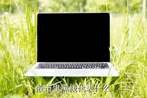 股票明細(xì)中黑色啥意思,股票成交明細(xì)黑色代表什么