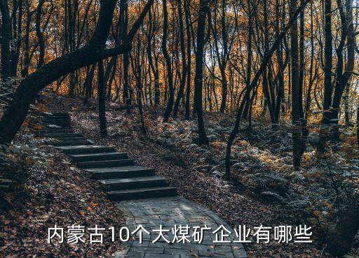 內蒙古10個大煤礦企業(yè)有哪些