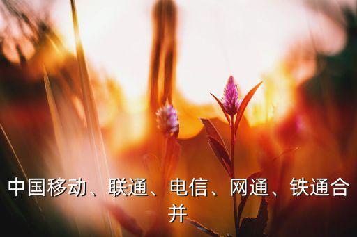 中國(guó)移動(dòng)、聯(lián)通、電信、網(wǎng)通、鐵通合并
