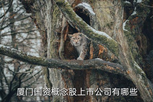  廈門(mén)國(guó)資概念股上市公司有哪些