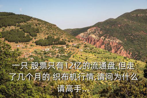 一只 股票只有12億的流通盤,但走了幾個(gè)月的 織布機(jī)行情,請(qǐng)問(wèn)為什么請(qǐng)高手...