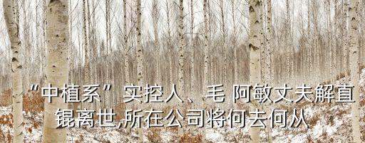 “中植系”實控人、毛 阿敏丈夫解直錕離世,所在公司將何去何從