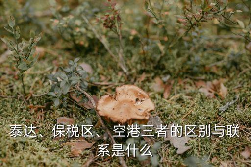 泰達(dá)、保稅區(qū)、 空港三者的區(qū)別與聯(lián)系是什么