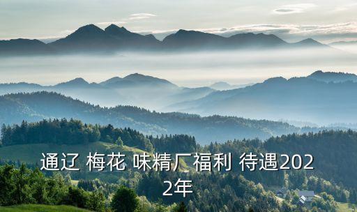通遼 梅花 味精廠(chǎng)福利 待遇2022年