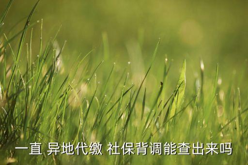 一直 異地代繳 社保背調能查出來嗎
