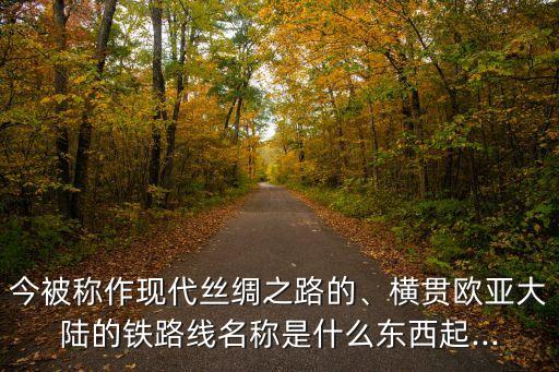 今被稱作現(xiàn)代絲綢之路的、橫貫歐亞大陸的鐵路線名稱是什么東西起...